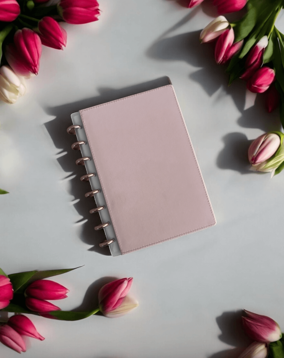 A5 | Discbound | Cover | Clip-On | Vegan leather | BLUSH PINK