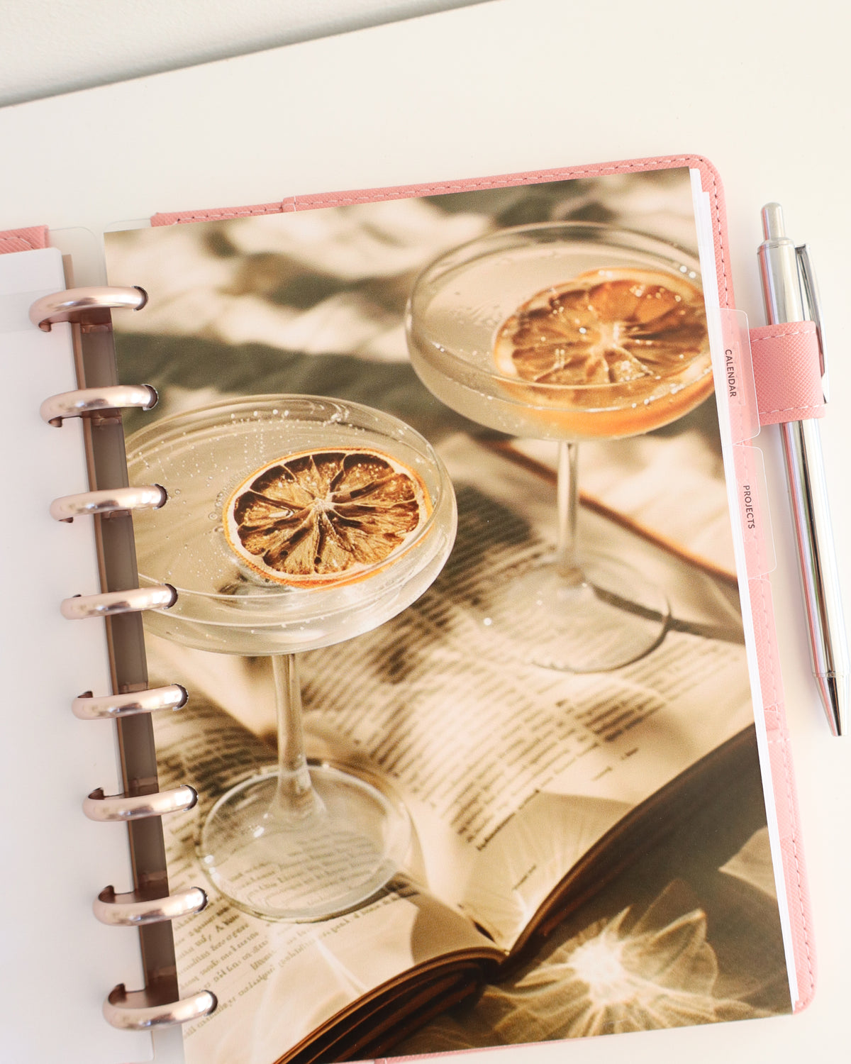 Visual Photo set of 6 — refillable A5 planner insert, in use