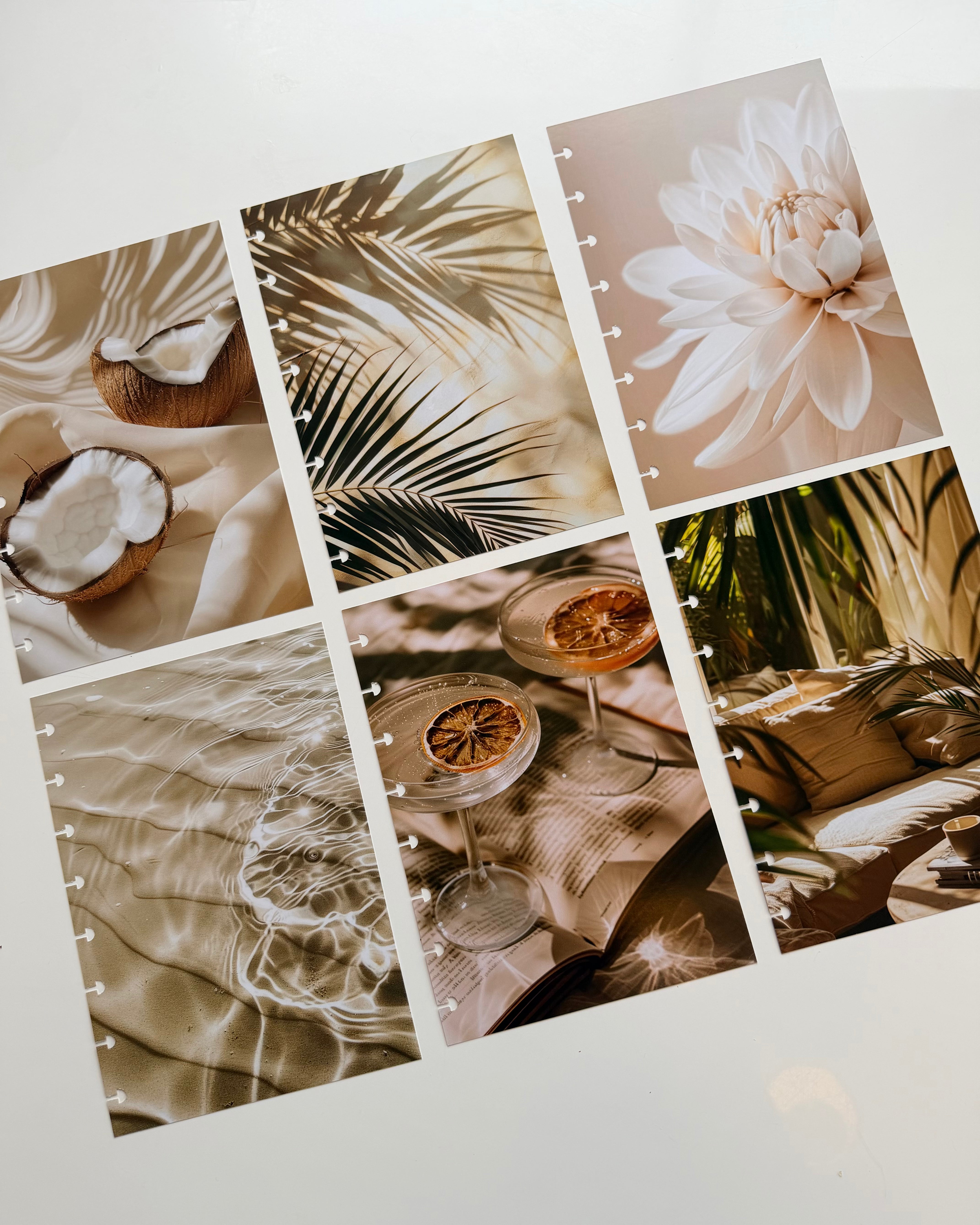 Visual Photo set of 6 — refillable A5 planner insert