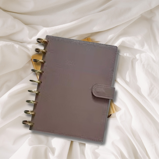 Taupe Clip-On Cover and disc set