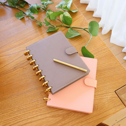 Taupe Clip-On Cover and disc set