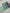 1 sheet | Transparent colour coding stickers | Forest