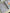 1 sheet | Transparent colour coding stickers | Citrus