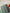 1 sheet | Transparent colour coding stickers | Forest