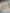 1 sheet | Transparent colour coding stickers | Citrus