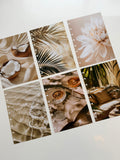 Photo insert set