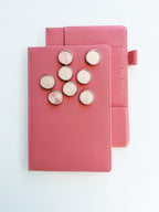 Rose clip-on cover + discs bundle