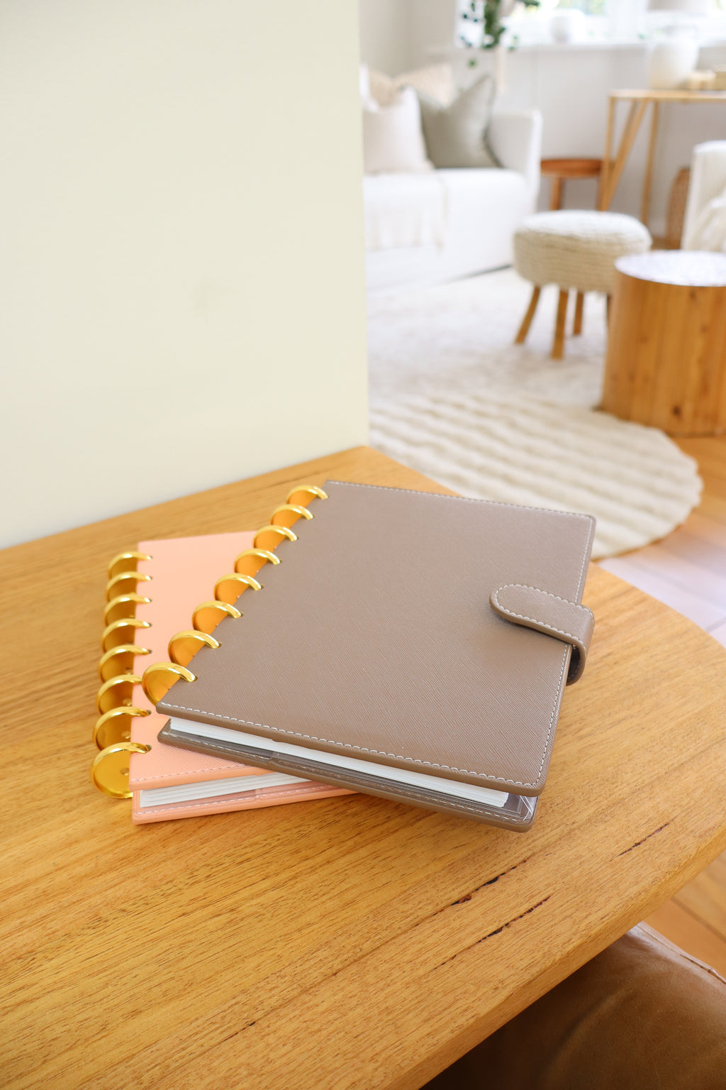 Peach Clip-On Cover and disc set
