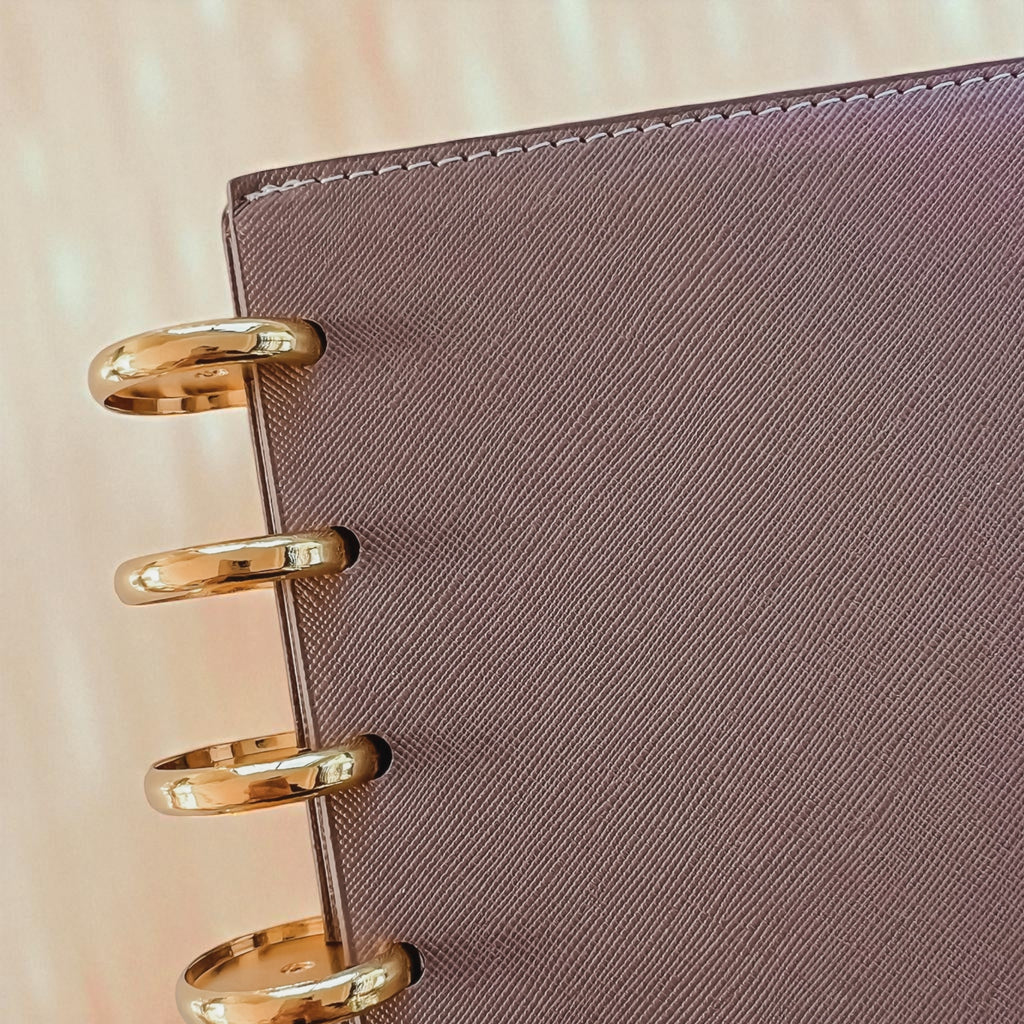 Taupe Clip-On Cover and disc set