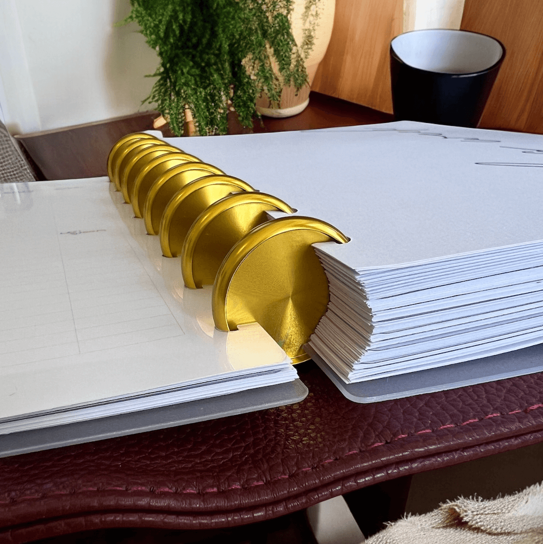 The Command Planner