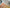 1 sheet | Transparent colour coding sticker dots | Citrus