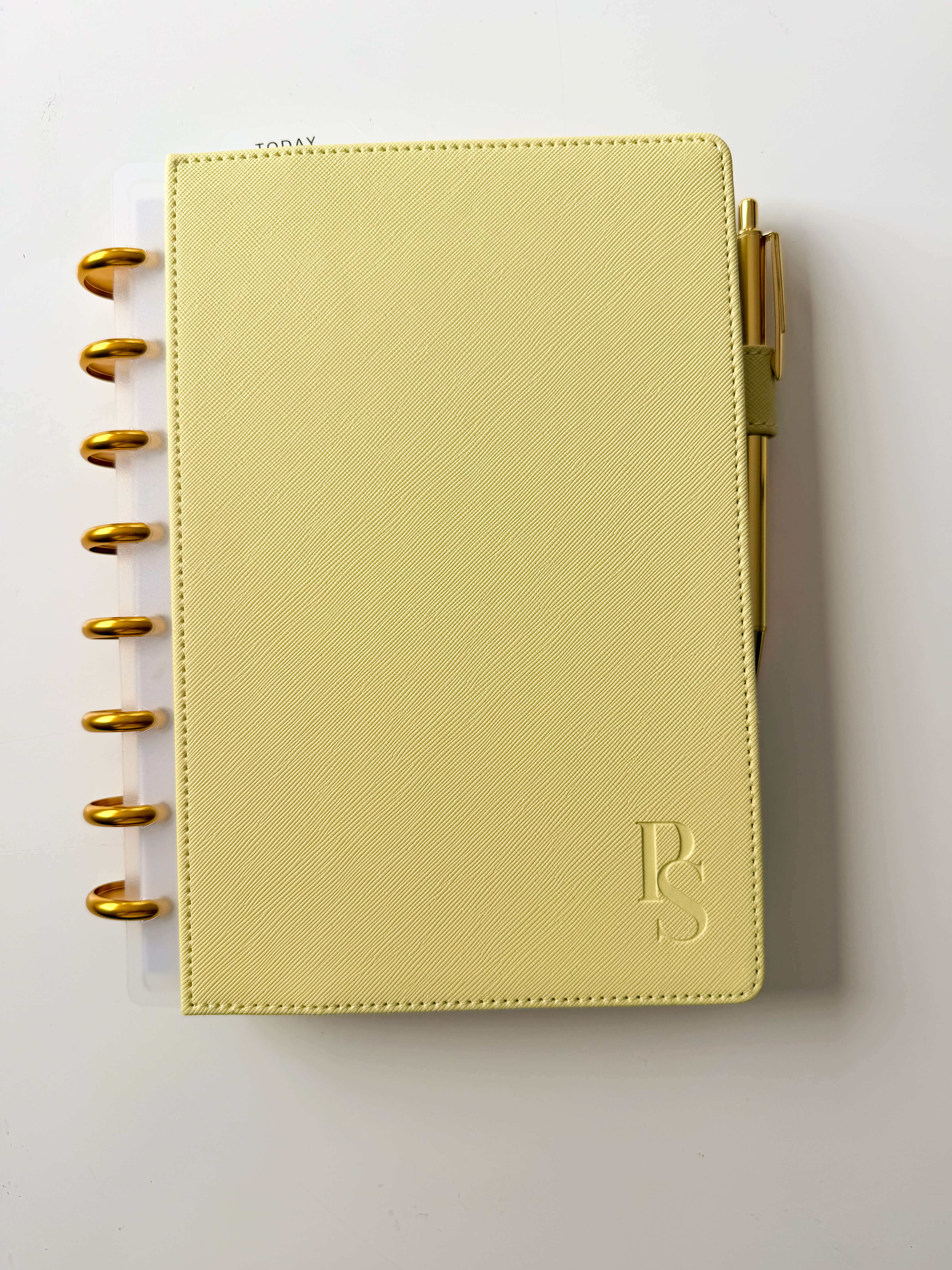 Lemon snap-on cover — discbound planner cover, in use