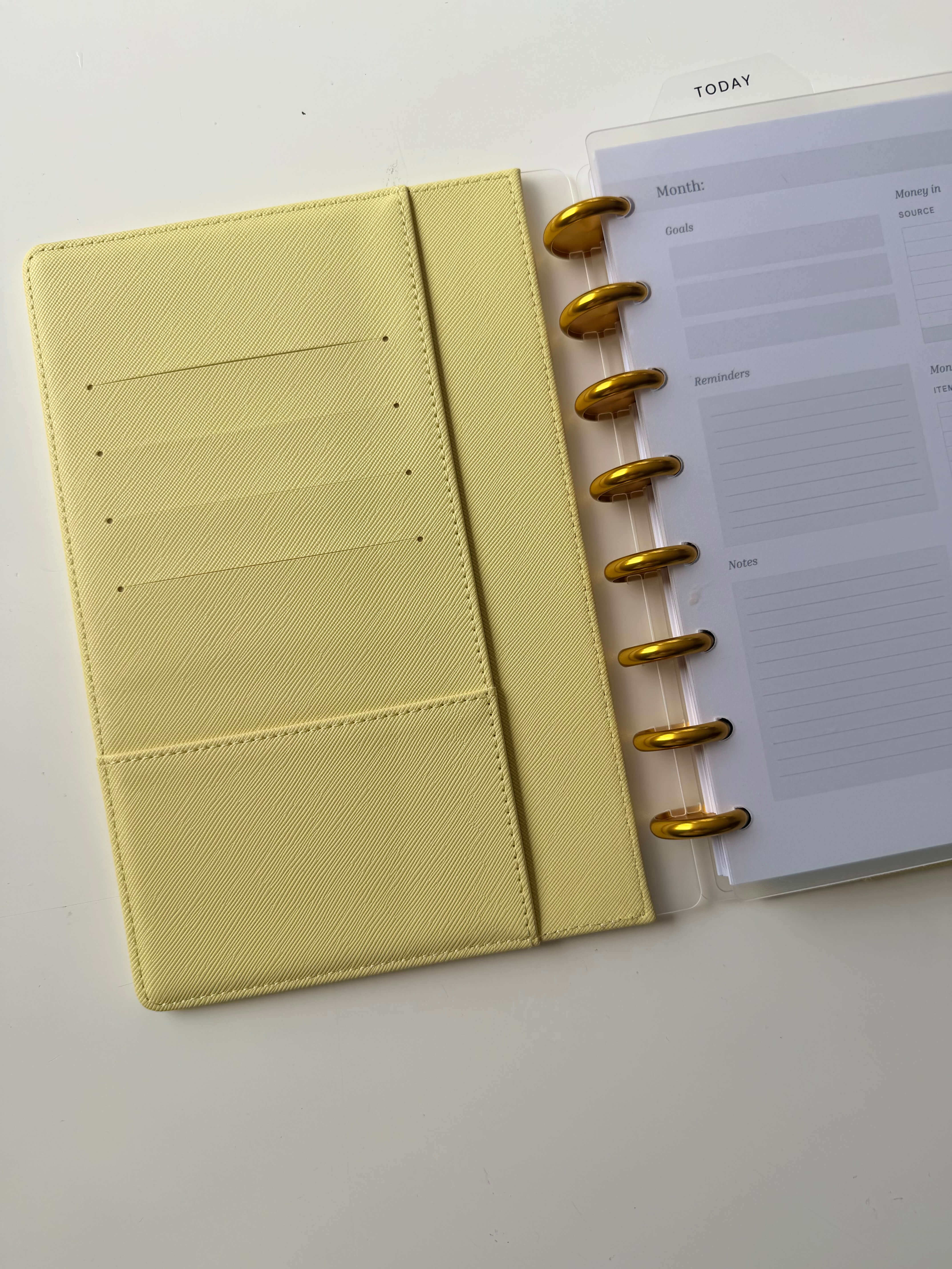 Lemon snap-on cover — discbound planner cover, styled photo