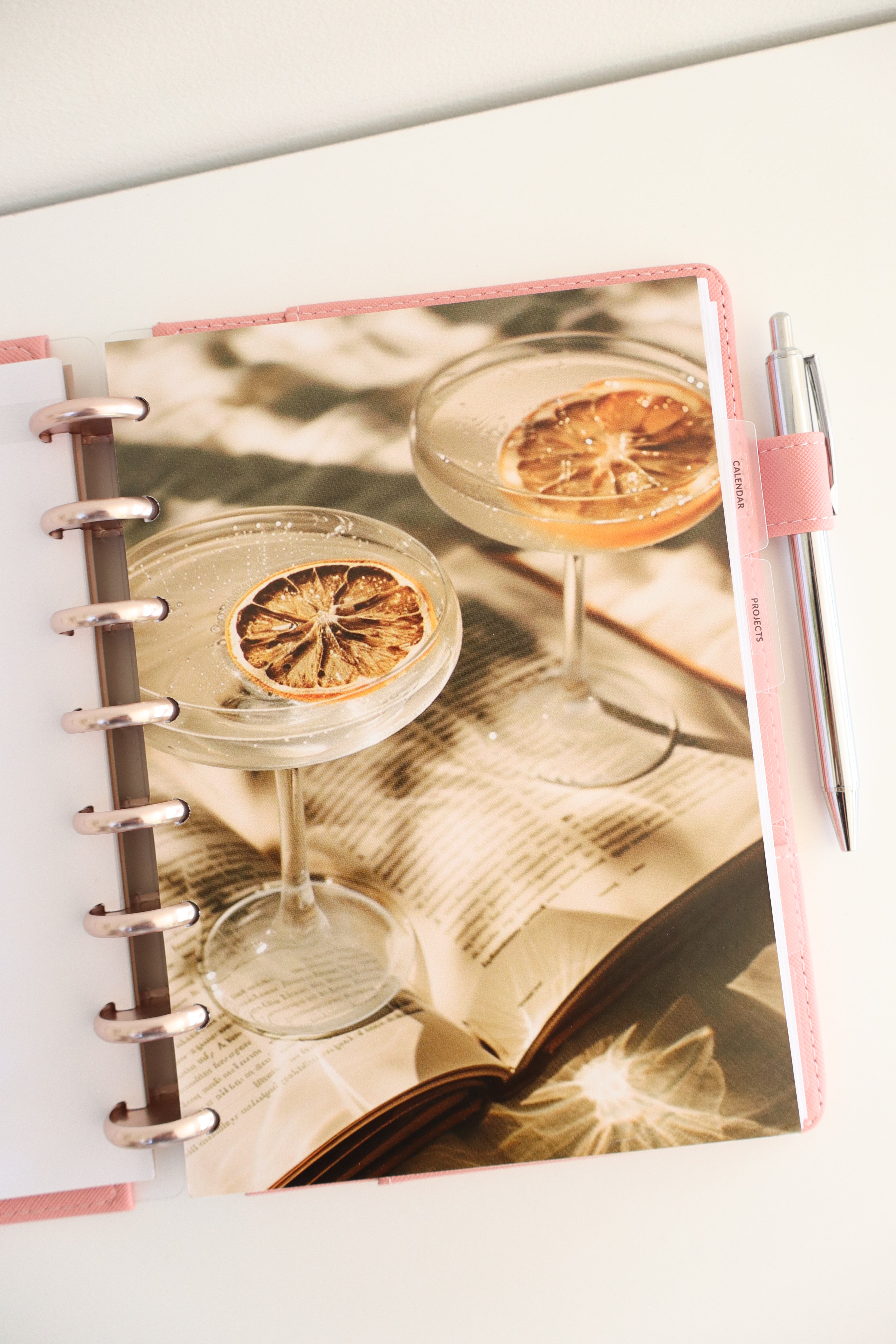 Visual Photo set of 6 — refillable A5 planner insert, in use