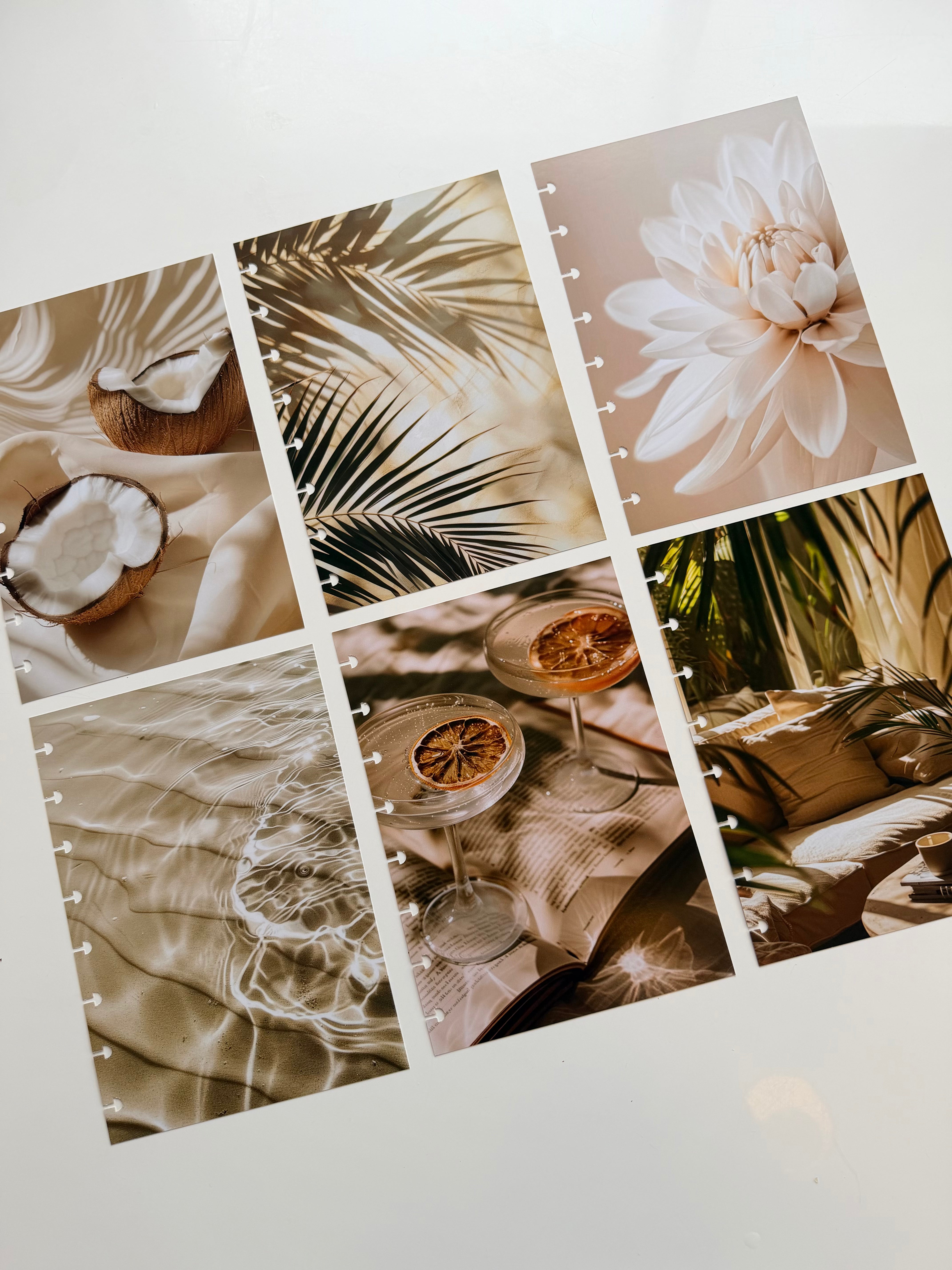 Visual Photo set of 6 — refillable A5 planner insert